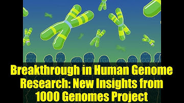 Breakthrough in Human Genome Research: New Insights from 1000 Genomes Project