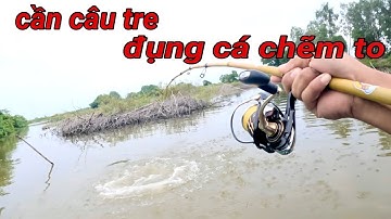 Thử thách câu cá chẽm bằng cần câu tre