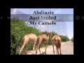Abdiaziz Shire