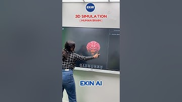 Explore the 3D Simulation of the Human Brain on EKIN AI Royal Series Interactive Panel  #ekin