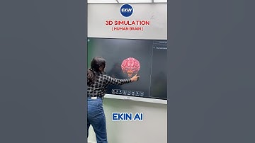Explore the 3D Simulation of the Human Brain on EKIN AI Royal Series Interactive Panel  #ekin