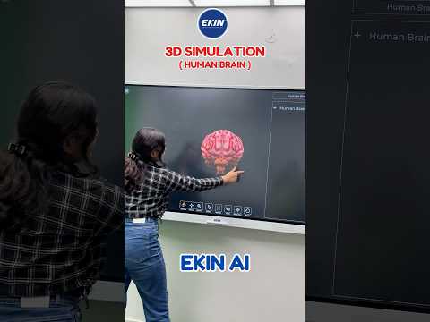 Explore the 3D