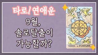 [타로/연애] 9월 솔로 연애운
