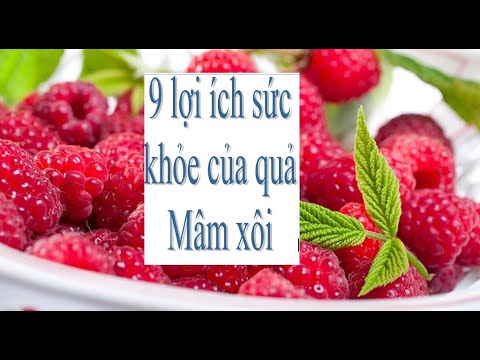 Video: Các đặc Tính Kỳ Diệu Của Quả Mâm Xôi