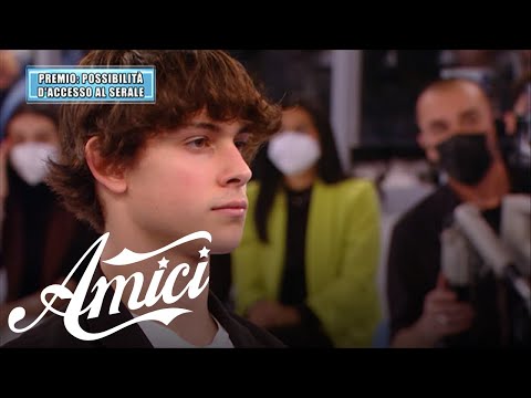 Amici 22 -