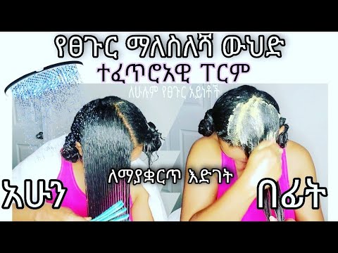 ቪዲዮ: እንዴት sorbed ፊደል ይፃፋል?