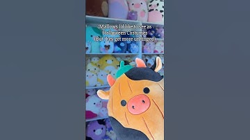 #squishmallows #squishmallow #squishmallowsquad #squishmallowssquad #halloween #shorts