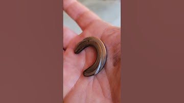 4x4 Astro Van Rear Differential Opened Up