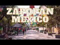 Video de Zapopan