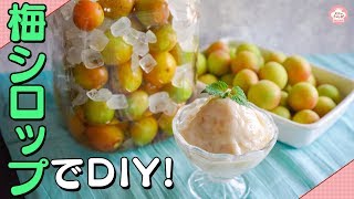 【簡単】氷砂糖で梅シロップをDIY! 失敗しない梅シロップの作り方と梅シロップのスイーツレシピ