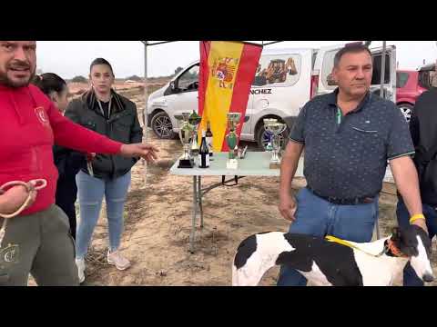 Camperos que paséis