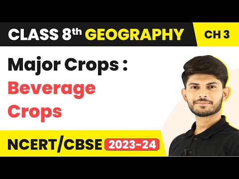 Major Crops : Beverage Crops - Agriculture | Class 8 Geography