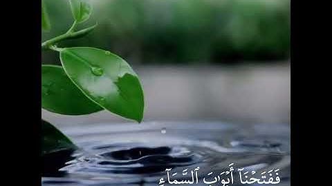 آيات من سورة القمر بصوت القارئ إسلام صبحي  #قرآن كريم #اسلام صبحي