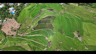 Rice Terrace Clusters of Kiangan: Nagacadan UNESCO World Heritage Site