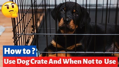 How To Use Dog Crate? When And When Not to Crate Your Dog?