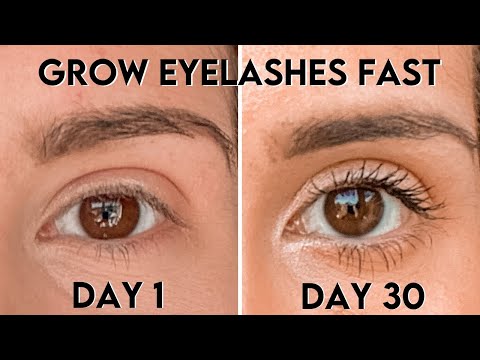 HOW I GREW MY EYELASHES BACK FAST AFTER EYELASH EXTENSIONS 