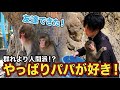 【パンチくん🐵】友達もいいけどやっぱり飼育員さんの元へダッシュ！1番♡