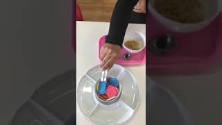 Montessori Presentation