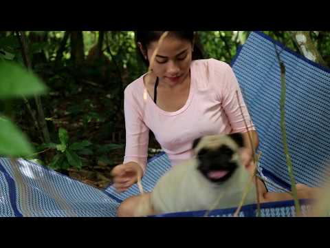 funny dog and girl 2018 Real life