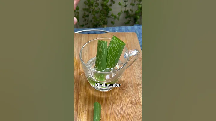 The right way to use aloevera ⚠️ - DayDayNews