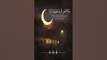 (وبالأسحار هم يستغفرون) تلاوة مختارة || سليمان المقيطيب