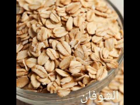 محاصيل العائلة النجيلية القمح الشعير الشوفان الشيلم الأرز الذرة
