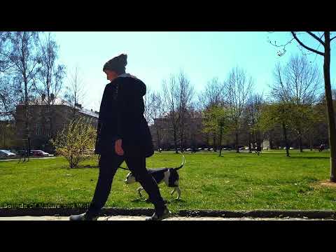 Ostrava 2022 -