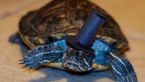 Escape the lab part 1