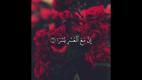 الم نشرح لك صدرك | تلاوة عطرة | حالات واتس اب دينية