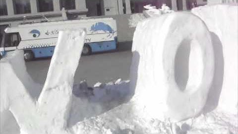 ACM ICPC 2010 Snow Sculptures Result