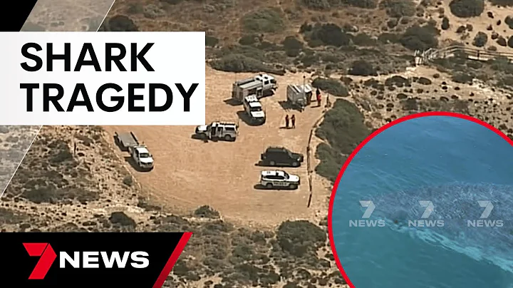 Search for man’s body after fatal shark attack at Granite Rock, South Australia | 7 News Australia