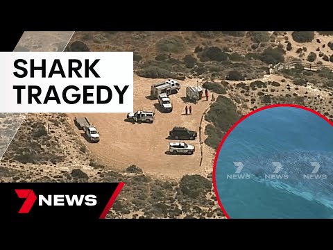 Search for man’s body after fatal shark attack at Granite Rock, South Australia | 7 News Australia