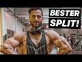 Bester Muskelaufbau Split | Push Pull Beine? OK/UK?