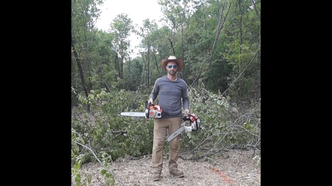 Widening the Fence Line with Chainsaws YouTube