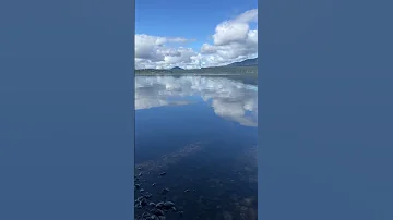Experience The Majestic Beauty Of Quinault Lake And Its Lush Surroundings 