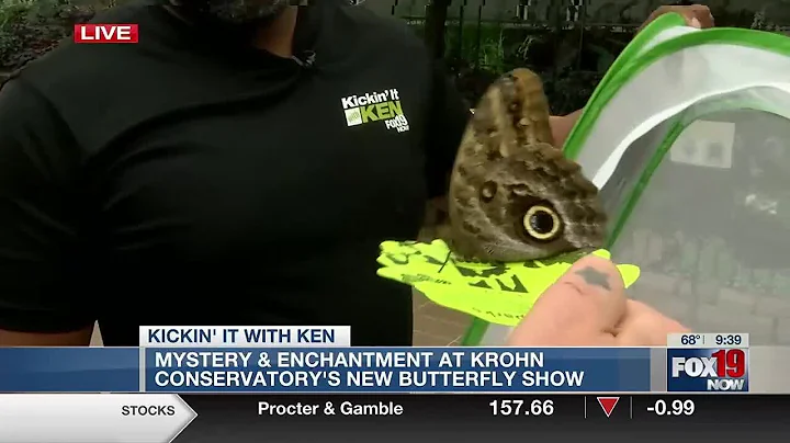Kickin' it with Ken: Mystery & enchantment at Krohn Conservatory's butterfly show