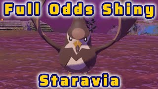 Full Odds Shiny Staravia In PLA | Full Odds Dex Quest #013