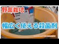にんにく病気予防のついでに安くて、幅広く使える、殺菌剤（銅）を紹介します