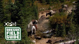 Wallowa Mountains mule packer