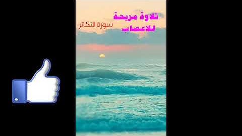 سورة التكاثر💗 بصوت الشيخ فارس عباد تلاوة مريحة للاعصاب