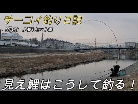 秘蔵 芳賀故城　コイの釣り方　シカケ・ポイント・釣技のすべて　金園社 秘蔵 芳賀故城 コイの釣り方 シカケ・ポイント・釣技のすべて 金園社