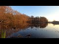 Relaxing Winter Lake | Nature Relaxation Water Sounds | Peaceful Lake Sounds | Bird Sound