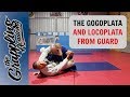 Gogoplata And Locoplata - From Closed Guard!