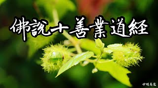 佛說十善業道經 聞敬誦讀 佛說十善業道經 聞敬誦讀