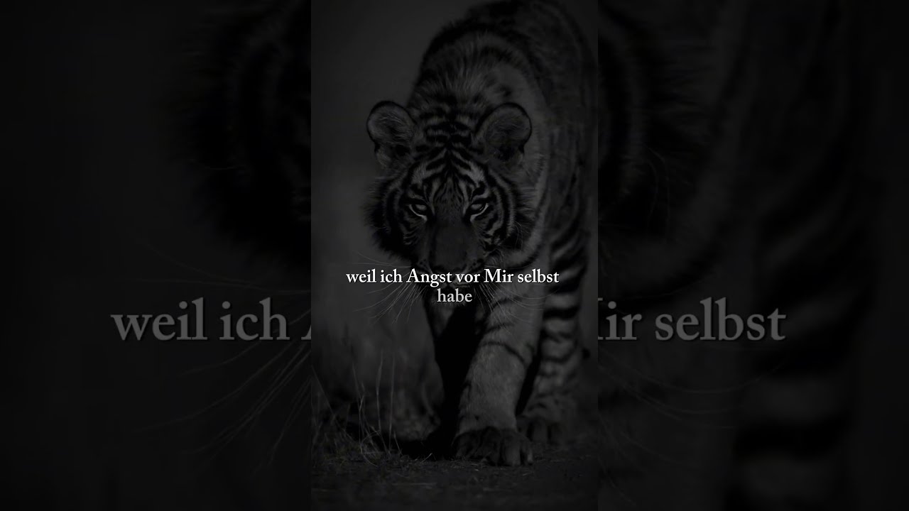 Bei Wem Trifft Es Zu Viral Foryoupage Zitate Sigma Alpha King L We Fyp 