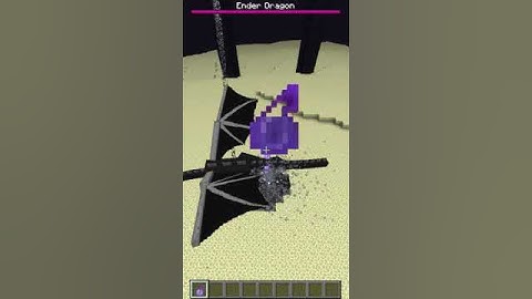 what if you throw invisibility potion on ender dragon?