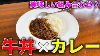 組み合わせれば美味くなるはず！牛丼カレー作ってみた！