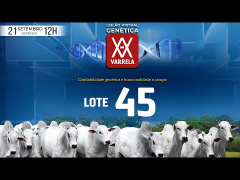 LOTE 45   GCL 5354