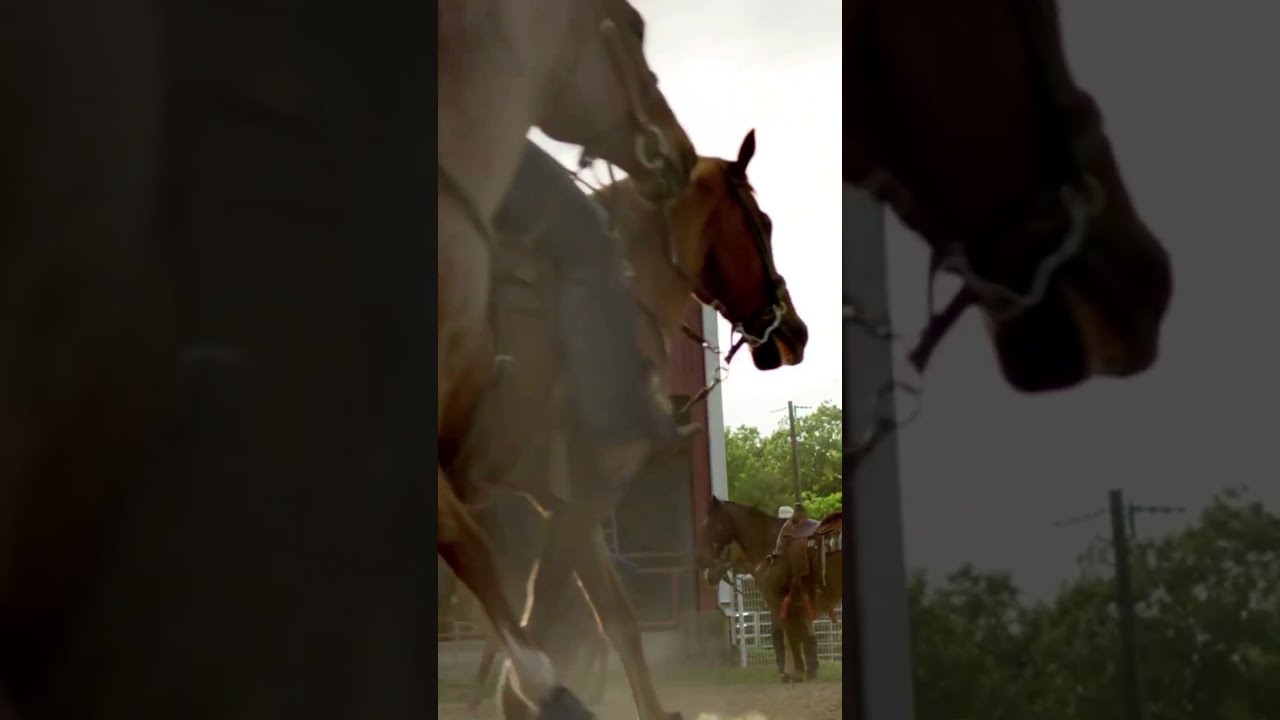A Cowboy Adventure On Horseback Through The Wild West