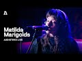 Capture de la vidéo Matilda Marigolds On Audiotree Live (Full Session)